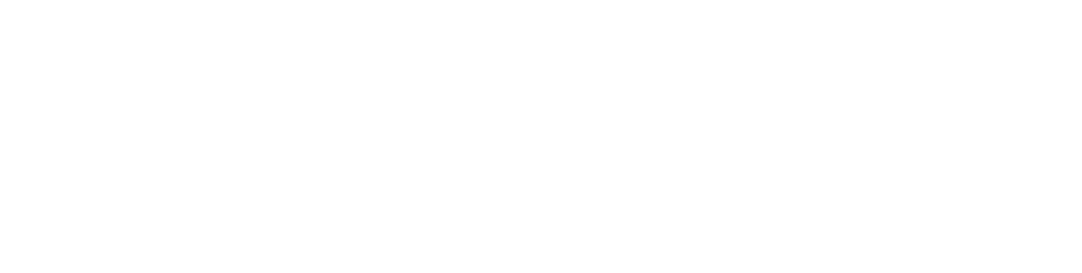 UAE Cyber Security Council